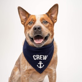 Crew Anchor Boat Dog Bandana | 100% Cotton | Made in USA | Boat & Fishing | Captain | Beach & Lake | Summer | Outdoors | Father's Day | Hot Pink, One Size