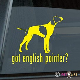 Mister Petlife Got English Pointer Sticker Vinyl Auto Window #2 GSP dk Yellow 9.50" x 8.17"