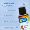 Earth’s Care Clove Oil - Essential Oil for Aromatherapy -