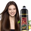 Leorx Dark Brown Hair Dye Shampoo 3 in 1, 15