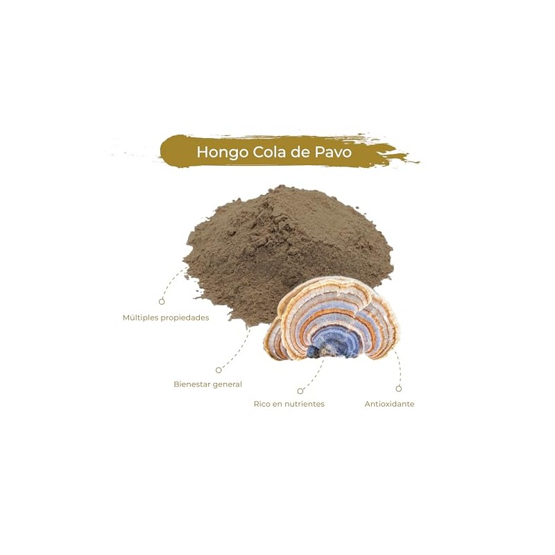 Hongo Cola de Pavo, Deshidratado en Polvo, 120 g |