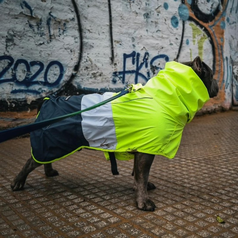 Spark Paws Dog Raincoat, Waterproof Windproof Rain Jacket, for Small