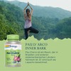 Solaray Pau D'Arco Inner Bark 550 mg | 100 Caps