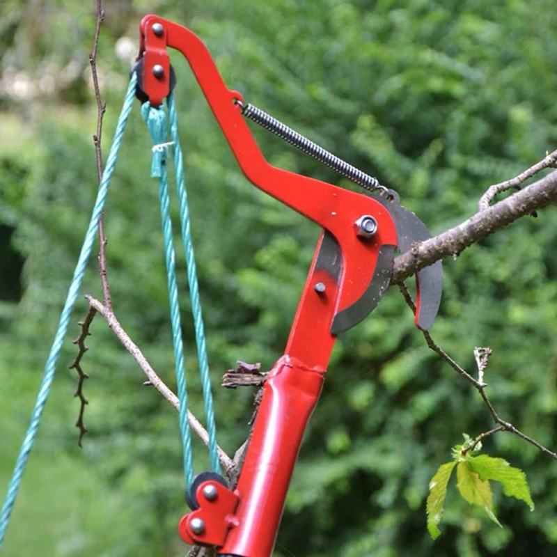 Angoily Tree Pruner Manual Pole And Tree Pruner Harvester Gardening