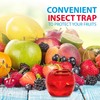 Raid Fruit Fly Trap Bundle, Set of 3 2-Pack Apple