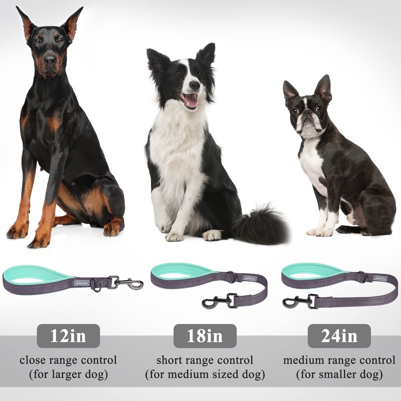 VIVAGLORY Short Dog Lead 24" Grey