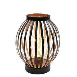JHY DESIGN 8.7''High Metal Cage Decorative Lamp Battery Powered Cordless Warm White Light with LED Edison Style Bulb.Great for Weddings Parties Patio Events for Indoors/Outdoors