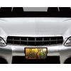 Wildlife Vanity Aluminum Front License Plate (Deer in Fall Forest)