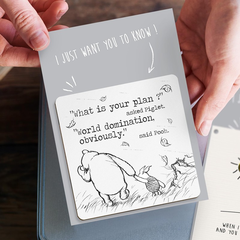 Dorothy Spring Sarcastic What is your plan? Special Friend Pooh