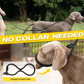 Fida 2-in-1 Slip Leads for Dogs with Double Handles, Tangle Free Leash for Large Dogs That Pull, Heavy Duty No Pull Training Leash Reflective Soft Padded for Large & Medium Breed(6ft,Black)