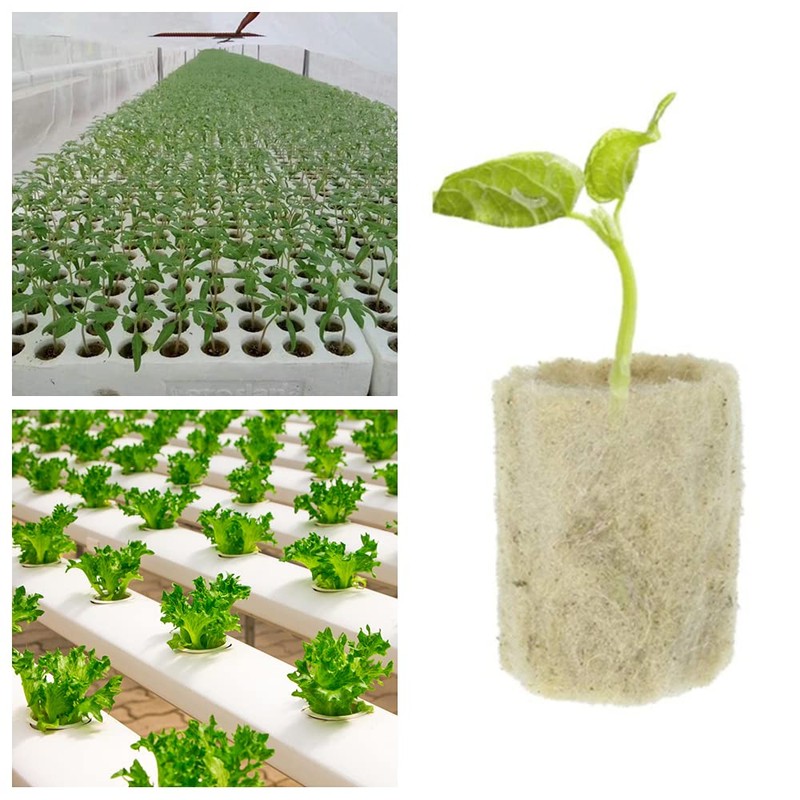 20 Pcs Rockwool Starter Plugs Hydroponic Seedling Blocks Soilless Cultivation