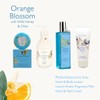di palomo Orange Blossom Hand & Nail Cream