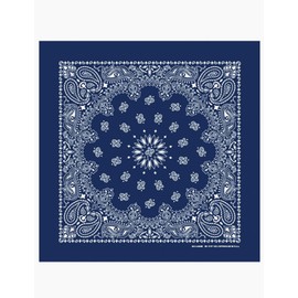 Havahangkeu Habahank Classic Paisley [Navy]