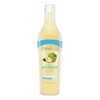 Bebida Concentrado De Antioxidantes Con Guanabana