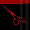 Shizuka (Hyundai Hmall) Shizuka Hair Thinning Beauty Scissors