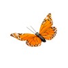 YCHTEWY Monarch Butterfly Decor Feather Butterfly Decorations Set of 12