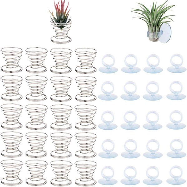 40 Pack Air Plant Stand Holder Tillandsia Airplant Container with