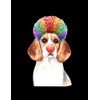 Beagle Beagle Gift For Beagle Owner Hair,afro,red nose NOTEBOOK: 8.5