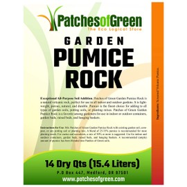 Patches of Green Bonsai & Succulent Garden Pumice Rock from 14 Dry Quarts