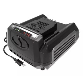 Sun Joe Snow Joe + Sun Joe iON100V-RCH 100-Volt Rapid Charger for iON100V