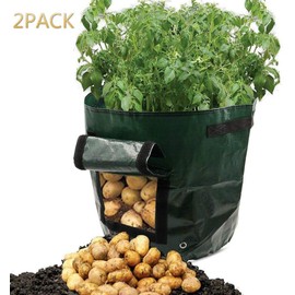 Lychee 2PCS 10 Gallon Potato Grow Bags,35cm x 45cm,PE Potato Planter Bag with Access Flap and Handles for Planting Vegetables Potato Carrot Onion Tomato