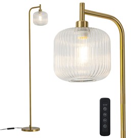 MAYNA Glass Floor lamp Living Room, Modern Vertical lamp, Remote Control Switch with Glass lampshade, 67-inch high lamp Suitable for Bedroom and Study