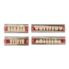 Dental Synthetic Resin Denture Tooth Professional Men Women Shade A3