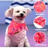 Raisingwell Birthday Dog Bandanas 2 Pack, 4 Pattern Reversible, Blue