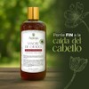 Shampoo Sangre De Grado Romero Y Sábila 1000 Ml Natural