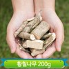 국내산 황칠나무 가지 잎 200g 말린 약재 백숙요리 차 구수한맛