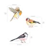 DECOWALL DS-8038 Small Birds Wall Sticker, Wall Decoration for Living