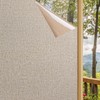LEMON CLOUD Window Film No Adhesive Removable,Decorative Privacy Window Film,Texture