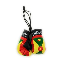 Red Hat Ent Hanging Car Mirror Mini Boxing Gloves (Grenada)