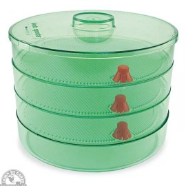 Biosta Sprouter with 3 levels - Green Tint Brand: Biosta