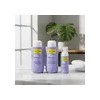 Yellow Silver Purple Shampoo & Acond 500ml & Leave In