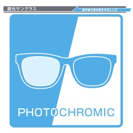 OTC.web 2304CH Dimming Round Boston Sunglasses, Stylish, UV Protection, Darkening Color, Combi Cell Round Glasses, C-C Gray / PU Dimmer