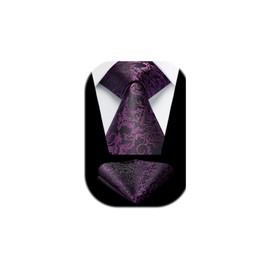 HISDERN Mens Solid Purple Paisley Wedding Tie Handkerchief Men's Necktie & Pocket Square Set For Wedding