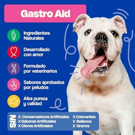 Dogelthy Gastro Aid. Pre + Probioticos con +3 Billones de UFC x Scoop. Suplemento para Perros. Complemento para Croquetas o Dieta Barf de 270g (Cerdo)