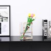 PORPAN Book Vase for Flowers, Glass Book Vase, Clear Book