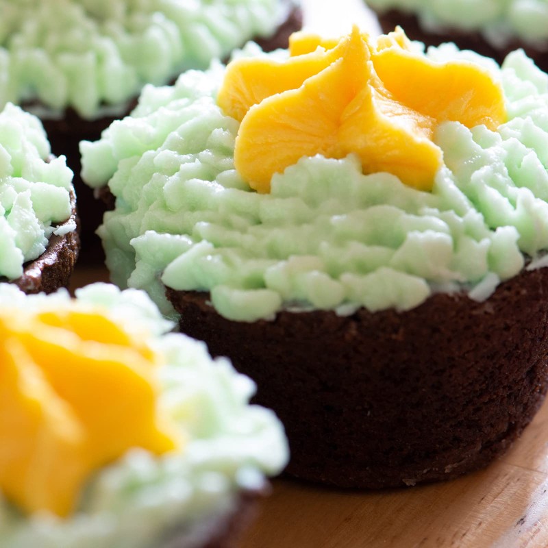 Kazozobi 2 Pack Mini Muffin Cheesecake Pan with Removable Bottom,