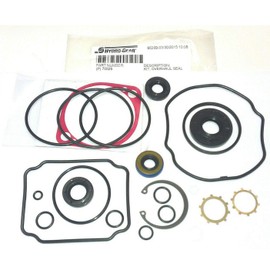 Hydro-Gear Genuine Original 70525 BDP-10A Pump Overhaul Seal Kit with Seals & Gaskets