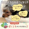 FOily TOily Dog Toy, Chewing Toy, Durable, Stuffed Animal for