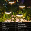 Ainostone Solar Lights Outdoor Pathway 8 Pack IP65 Waterproof 31"