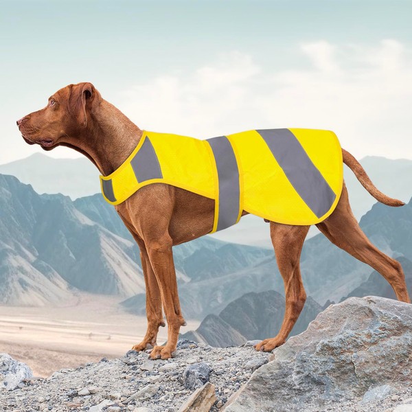 Orange Dog Vest High Visibility Safety, Dog Hunting Vest, Dog