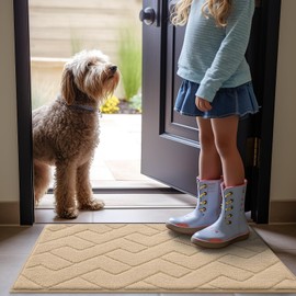 OLANY Indoor Door Mat, 32x20, Dirt Resistant and Absorbent, Sturdy Non-Slip Rubber Backing, Easy to Clean, Washable Low-Profile Doormat for Entryway, Beige