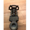 Newco 1" Class 800 Cast Iron Gate Valve 47 18X-FS2-RP-NC-