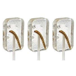 Hotlix Tequila Worm Sucker Pack of 3 Insect Candy