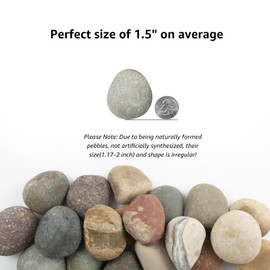 20 LBS River Rocks for Plants - 1-2 inch Natural Stones, Screened Decorative River Rocks for Landscaping, Garden Pathway, Plant Stones, Craft Walkways, and Outdoor Decorative