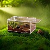 Premium Acrylic Reptile Tank - Terrarium Kit for Gecko, Snake