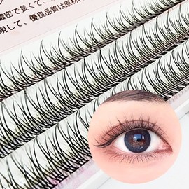 Sweeney V-shaped strand eyelashes daily partial lash SD-221065 - Black / 스위니 V형 가닥 속눈썹 데일리 부분 래쉬 SD-221065 - 블랙